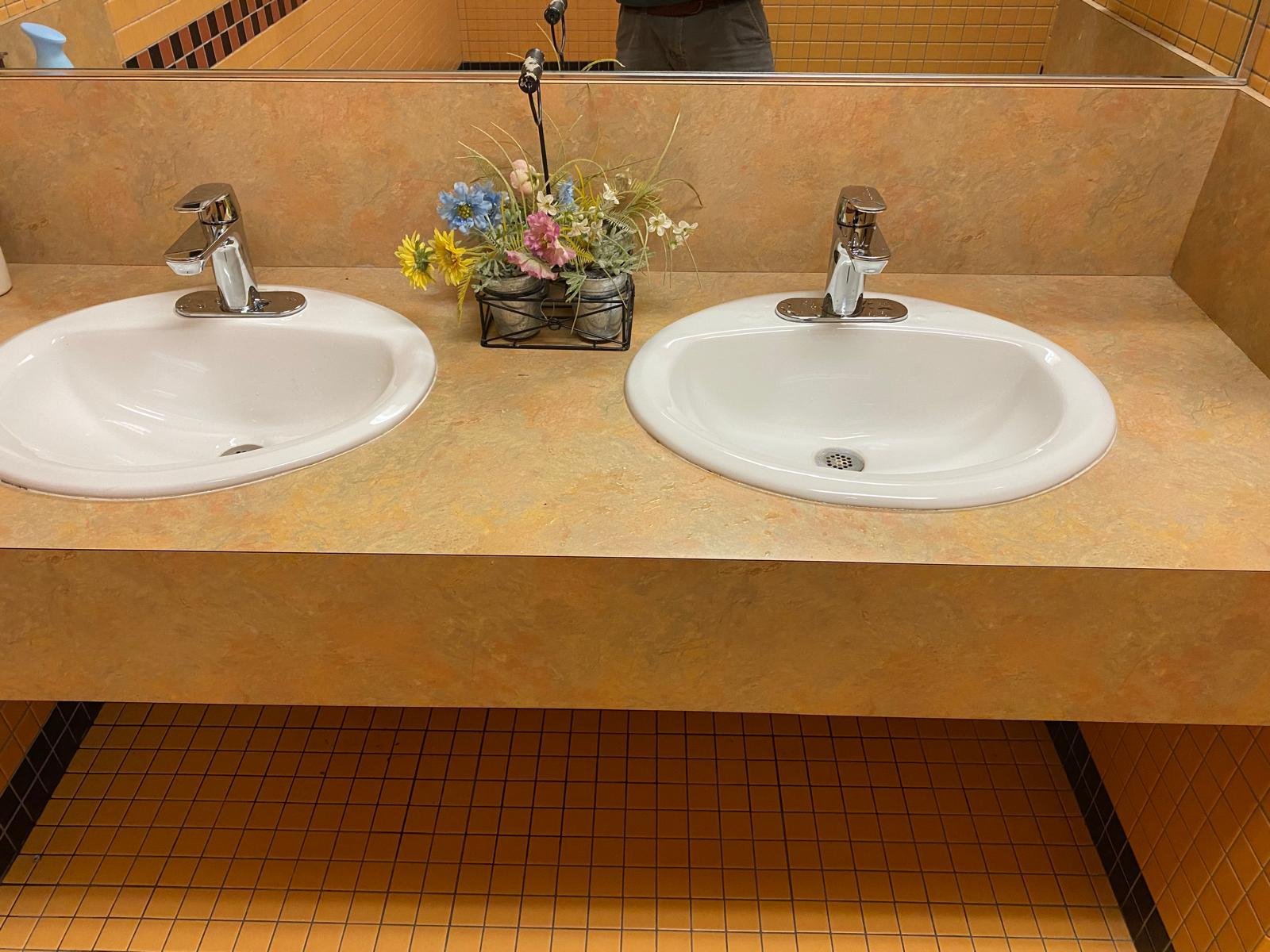 Professional plumbing services